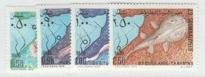 Somalia 1979 Fish Cave Barb Caveminnow Blind Catfish MNH** Set A25P30F18275