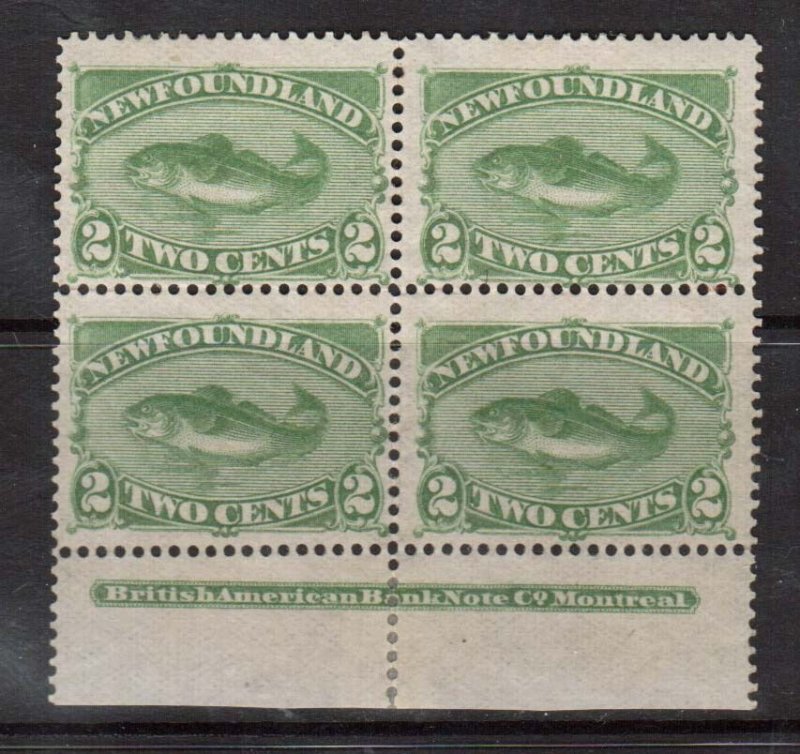 Newfoundland #47 Mint Plate Block Of Four