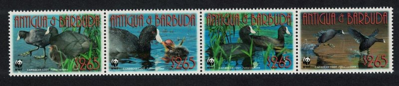 Antigua and Barbuda Birds WWF Caribbean Coot Strip of 4v 2009 MNH