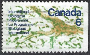 Canada #507 6¢ International Biological Program (1970). Used.