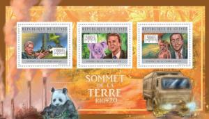 GUINEA 2012 SHEET EARTH SUMMIT RIO PANDA BEARS WILDLIFE KOALA CLINTON PRESIDENTS