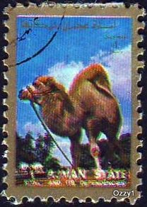 Ajman State 1973 Mi 2860A 1Rl Camel CTO