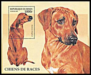 Benin 986, MNH, Pet Dogs souvenir sheet, Rhodesian Ridgeback