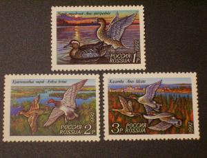 Russia Scott #6090-6092 mnh