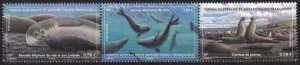 2023 FSAT Elephant Seal S3 (Scott NA} MNH