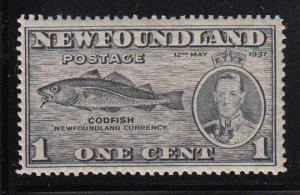 Newfoundland 1937 MNH Scott #233 1c Codfish