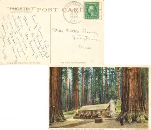 United States California Camp Curry 1917 duplex  1909-1920  PPC (The Cabin, M...