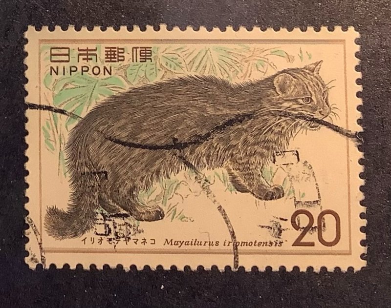Japan 1974 Scott 1170 used - 20y,  Nature conservation, Iriomote Cat