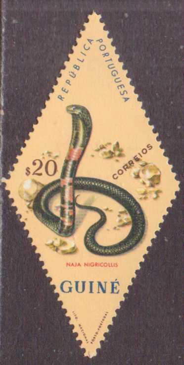 Portuguese Guinea   #306  MLH  (1963)  c.v. $0.30