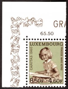 1960, Luxembourg 8,50+4,60Fr, MNH, Sc B221