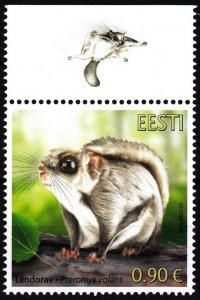 ESTONIA 2022-18 FAUNA Animals Rodent: Siberian Flying Squirrel. Fauna Margin MNH