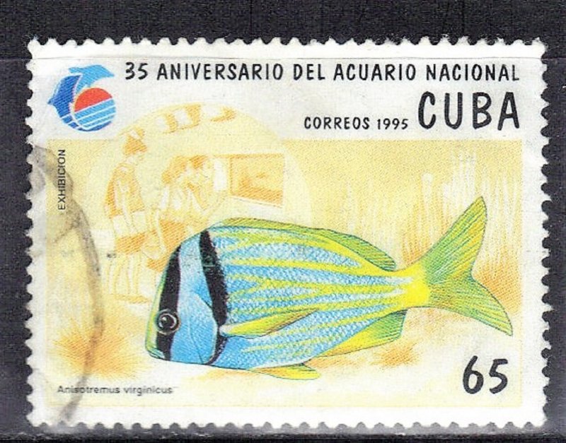 CUBA SCOTT# 3622 **USED** 1995  65c     SEE SCAN