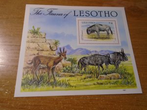 Lesotho  # 592  MNH  Wild Animals