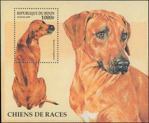 Benin #986, Complete Set, Souvenir Sheet, 1997, Dogs, Never Hinged