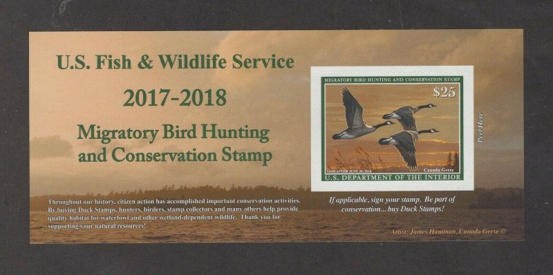 RW84A - Federal Duck Stamp. Self Adhesive Single.    #02 RW84A 