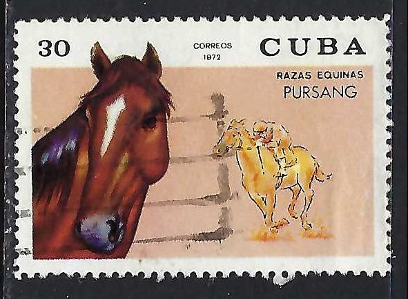 Cuba 1713 VFU HORSE Z6928