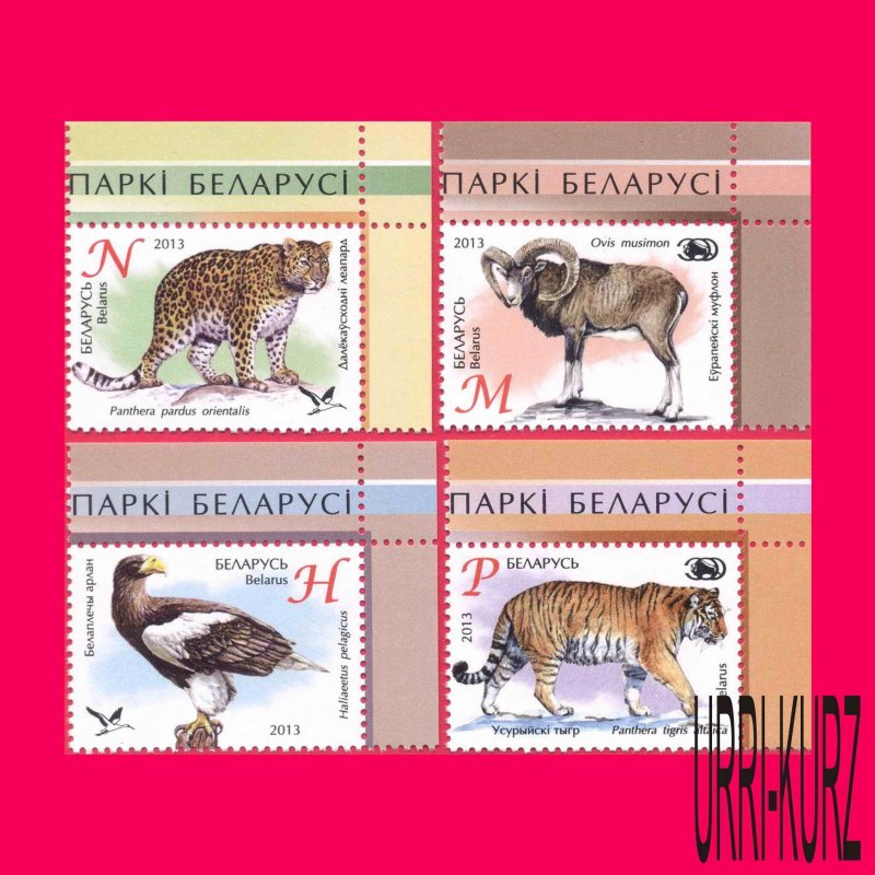 BELARUS 2013 Nature Fauna ZOO Animals Bird Tiger Eagle Leopard Mouflon 4v MNH