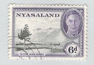 Nyasaland 74 Tea Estate Used 2  (BP97603)