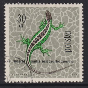 Poland 1134 Sand Lizard 1963