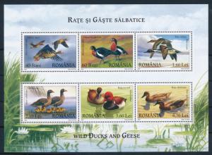 [32509] Romania 2007 Birds Vögel Oiseaux Ucelli  Ducks MNH Sheet