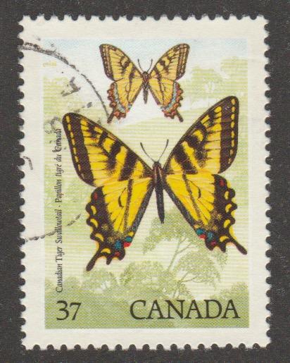 1213 butterfly