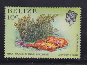 Belize 705 Sea Fans & Sponge 1984