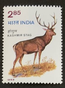 INDIA 1982 WILDLIFE CONSERVATION  SG1052 UNMOUNTED MINT