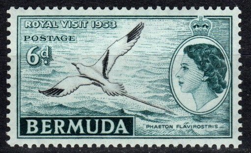 Bermuda #163 MNH (V6231)