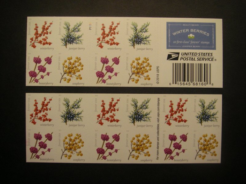 Scott 5415-8 or 5418b, Forever Winter Berries, Pane of 20, #P1111, MNH Booklet