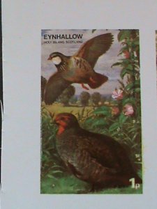 EYNHALLOW SCOTLAND STAMP -RARE BIRDS -IMPERF- MNH - MINI SHEET  NO GUM AS ISSUED