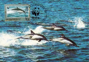 Montserrat 1990 Maxicard Sc #754 $1.15 Common dolphin WWF