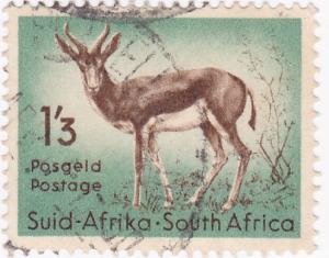 South Africa 1954 Wild Animals Springbok Used- 1/3d SG 160