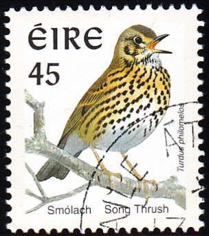 Ireland 1998-99 used Sc #1109a 45p Song thrush Perf 14