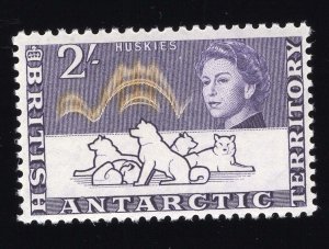 British Antarctic Territory Scott #11 Stamp - Mint Single