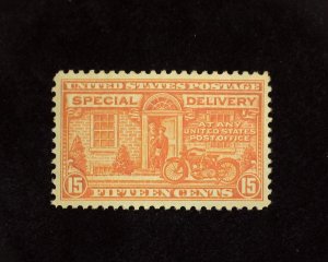 HS&C: Scott #E13 Mint XF NH US Stamp