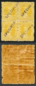 Queensland SG20s 1860 Registered Stamp Block opt Specimen fine M/M