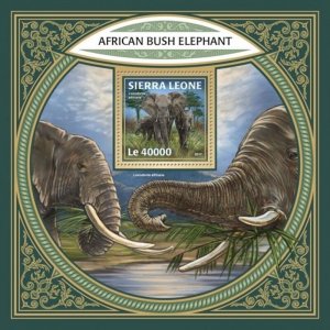 Sierra Leone - 2017 African Bush Elephant - Souvenir Sheet SRL171207b