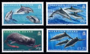 [66829] Ascension 2009 Marine Life Whales  MNH