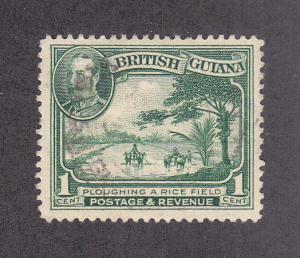 British Guiana Scott #210 Used