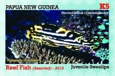 Stamps Papua New Guinea 2019. - Reef fish (assorted No. 2) - 4 stamps.