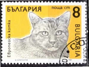 Bulgaria 1989: Sc. # 3512; Used CTO Single Stamp