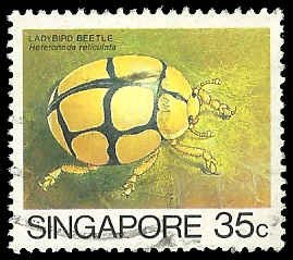 Singapore - #458a - Used - SCV-2.50