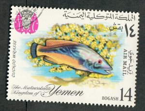 Mutawakelite Kingdom of Yemen Fish used CTO single