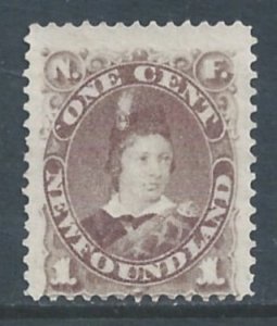 Newfoundland #42 Mint No Gum 1c Edward VII Gray Brown