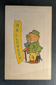1912 Pumpkin and Black Cat Illustrated Halloween Postcard Cover Summerville MA