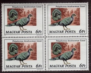 1977 Hungary Block of 4 Peacock pheasant, 6Ft Sc 2476, MNH