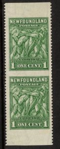 Newfoundland #183c Extra Fine Never Hinged Vertical Pair Imperf Between