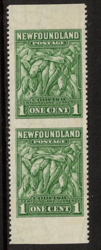 Newfoundland #183c Extra Fine Never Hinged Vertical Pair Imperf Between