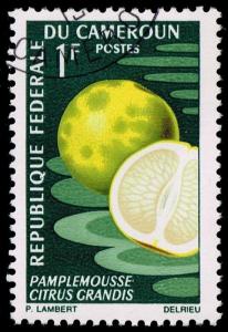 Cameroun #460 Grapefruit; CTO (0.25)