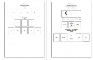 PRINTED PARAGUAY [CLASS.] 1870-1940 STAMP ALBUM PAGES (53 pages)